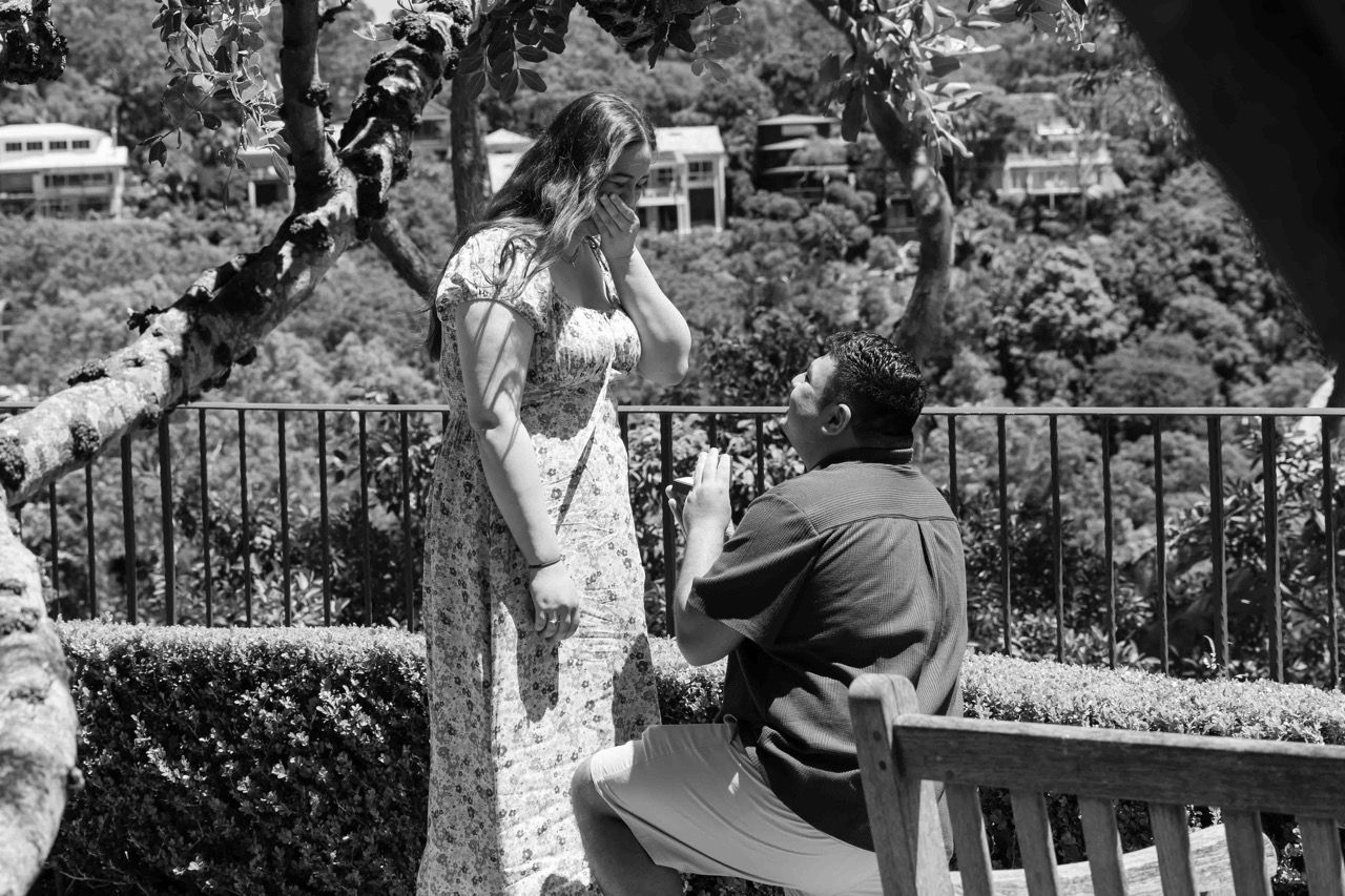 He kneels on a clifftop lookout as she covers her face in surprise