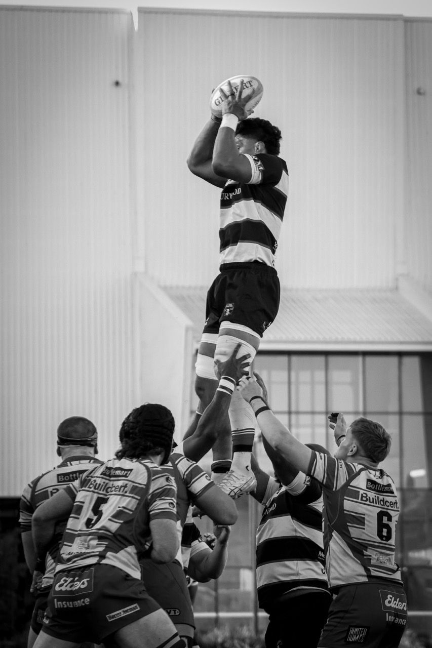 A jumper catches the ball at the top of a lineout